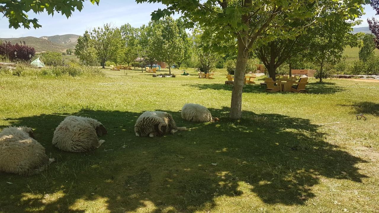 Ferme D’hôte La Vallée Azrou Esterno foto