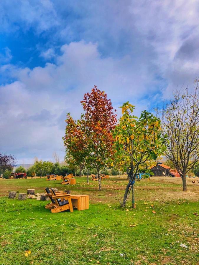 Ferme D’hôte La Vallée Azrou Esterno foto