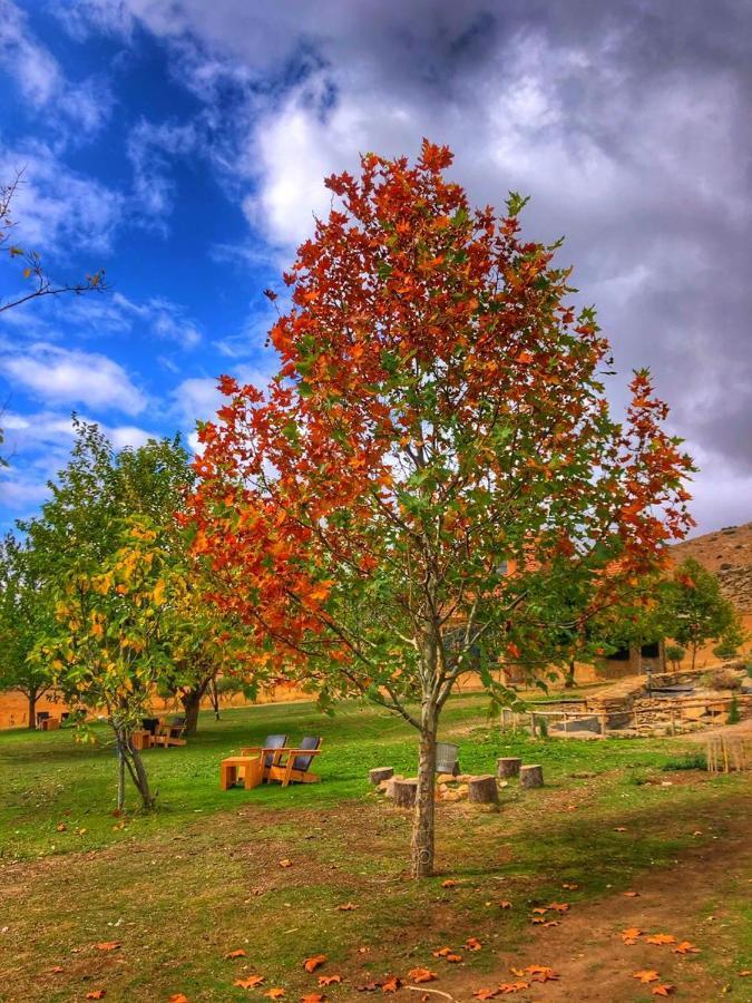 Ferme D’hôte La Vallée Azrou Esterno foto